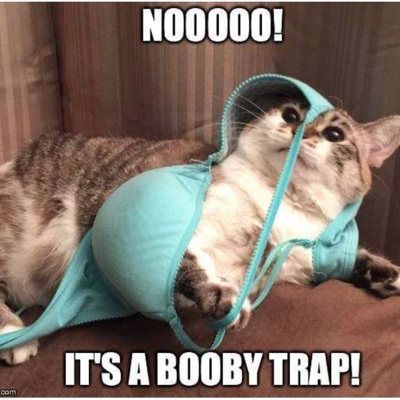 Meet your Posher, ❤︎❤︎❤︎🅹🆄🅻🅸🅰︎❤︎❤︎❤︎ - Picture 13 of 16